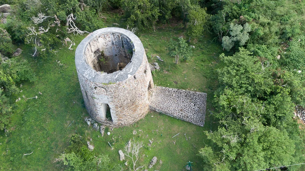 Discover Island History at Mount Healthy National Park